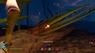 Find the Needle Bungle near the Pine Tree region (Image via Xbox Game Studios)